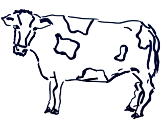 Fresh and frozen beef cuts for wholesale and export by APM Packers