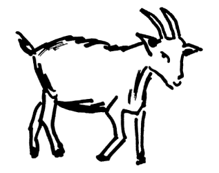 Premium young goat meat (capretto) and mature chevon cuts for international distributors - APM Packers